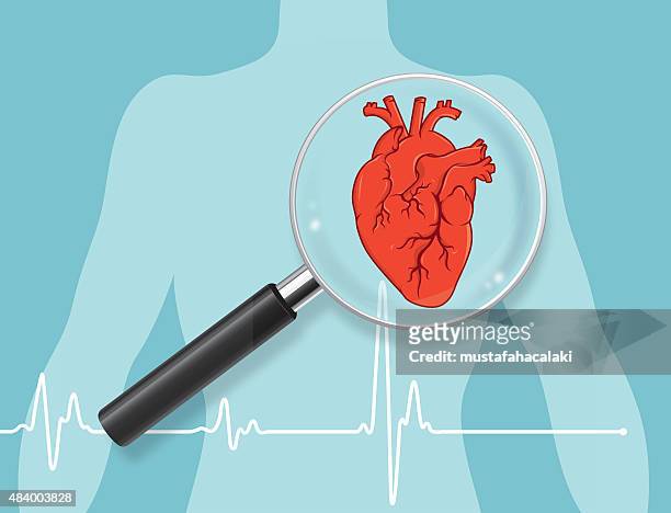 herz untersuchen lassen - human heart stock-grafiken, -clipart, -cartoons und -symbole