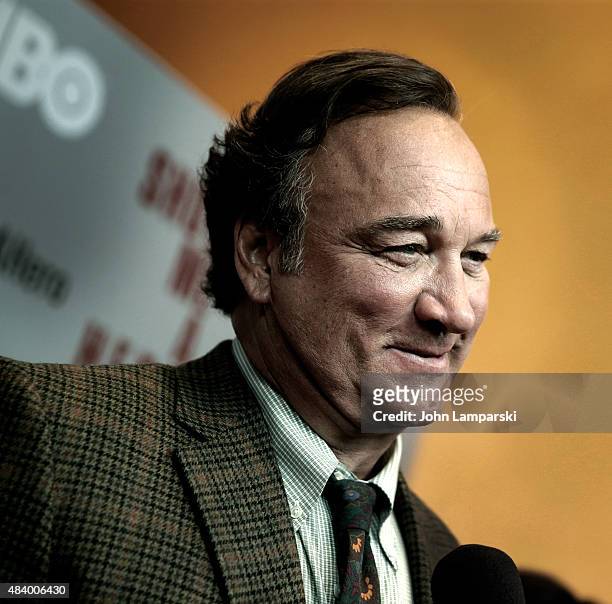 Jim Belushi attends "Show Me A Hero" New York Screening at The New York Times Center on August 11, 2015 in New York City.