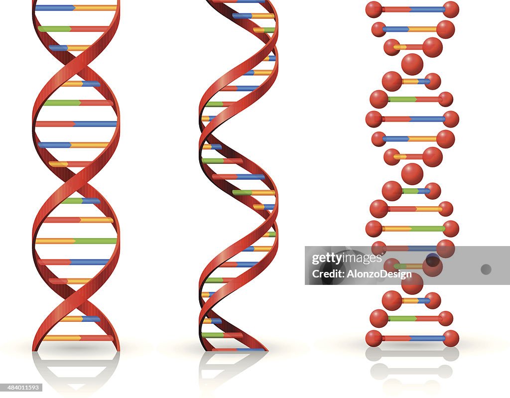 DNA