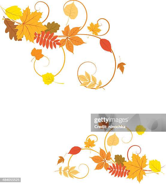 autumn corners - ash tree stock illustrations