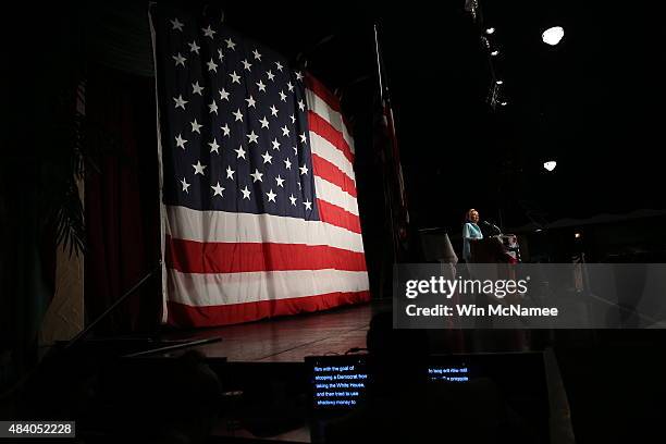 Democratic presidential candidate Hillary Clinton speaks at the Iowa Democratic Wing Ding August 14, 2015 in Clear Lake, Iowa. The Wing Ding is held...