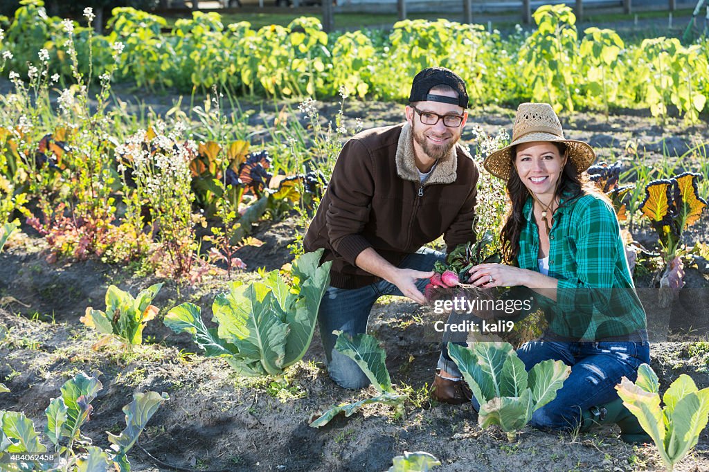 Couple on family farm harvesting vegetables