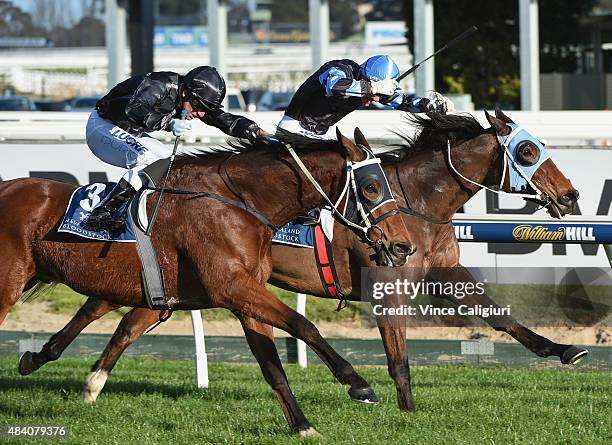 Vlad Duric riding Mourinho defeats Chris Parnham riding The Cleaner in Race 7, the P.B Lawrence Stakes during Melbourne racing at Caulfield...