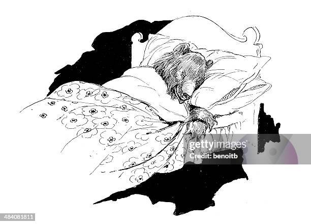 bear sleeping - bear white background stock illustrations