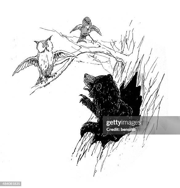 ilustrações de stock, clip art, desenhos animados e ícones de bear perturbar a coruja e pardal - angry bear