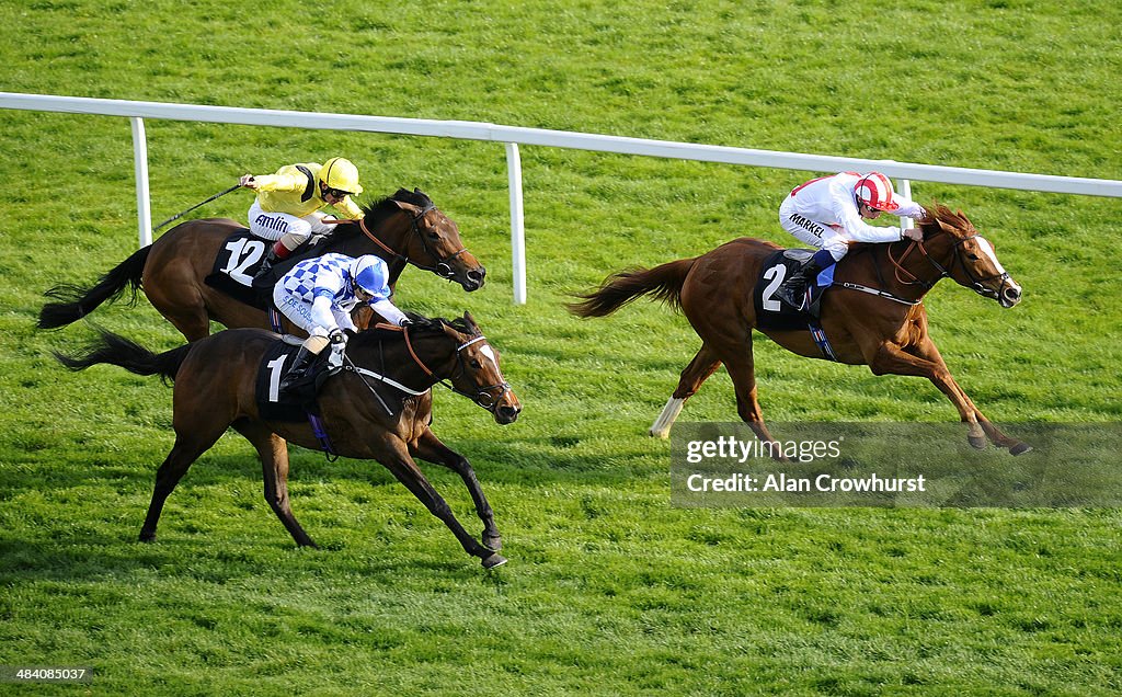 Newbury Races