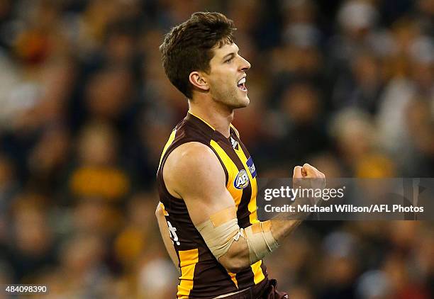 Luke Breust of the Hawks celebrates a goal during the 2015 AFL round 20 match between the Geelong Cats and the Hawthorn Hawks at the Melbourne...