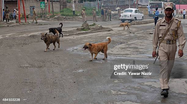 An Indian policeman patrols the road outside the Bakshi Stadium, where the authorities hold the main function, during India's Independence Day...