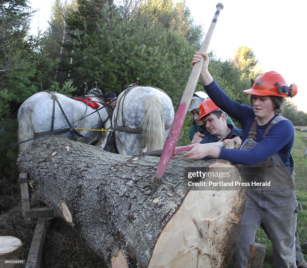Michael Bouchard Unity Reed Unity, Maine Staff Photo by Fred J. Field -- Laura Jefferis of... News ...