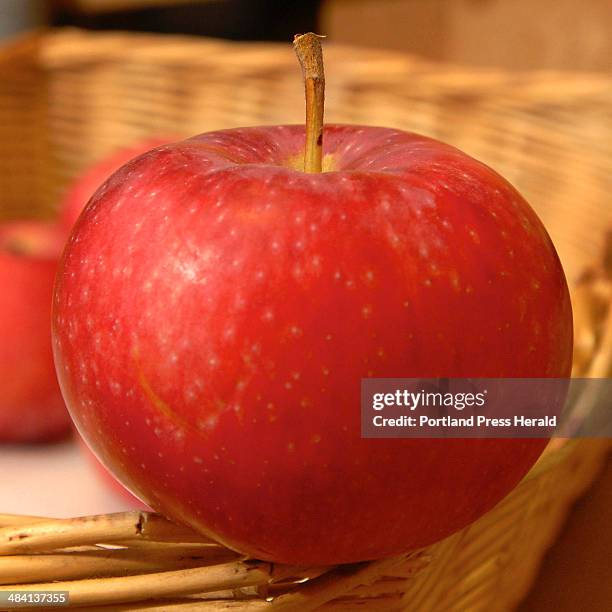 Staff Photo by Gordon Chibroski. August 28, 2006. -- Maine Food Products. Red Gravenstein Apple from Sweetser Farm in Cumberland, Maine. Courtesy of...