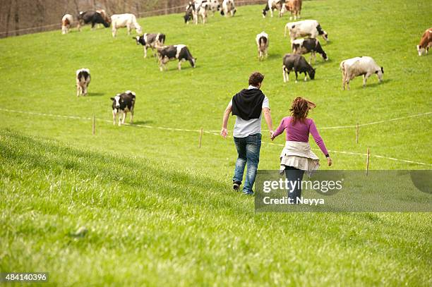 happy couple walking on a meadow near pasture - agritoerisme stockfoto's en -beelden