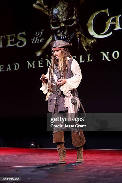 Jack Parrot Rapper Captain Jack Sparrow Wallpaper