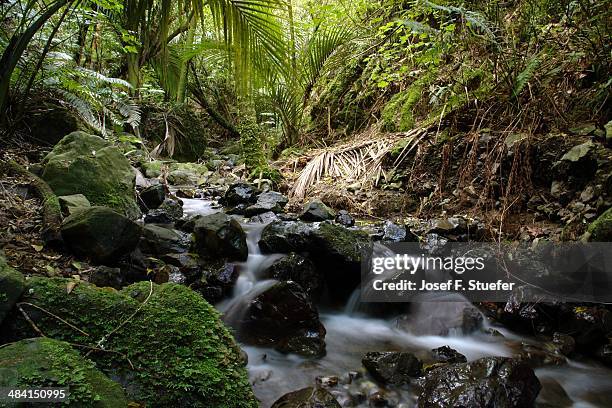 beautiful new zealand - palmerston north nz bildbanksfoton och bilder