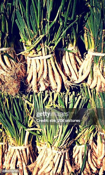 european farmer markets - vegetales imagens e fotografias de stock