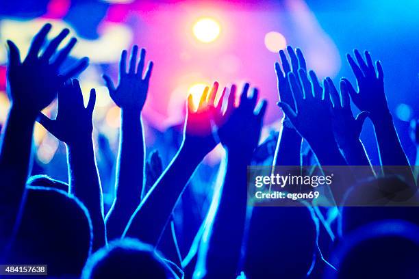 concert crowd - pop music stock pictures, royalty-free photos & images