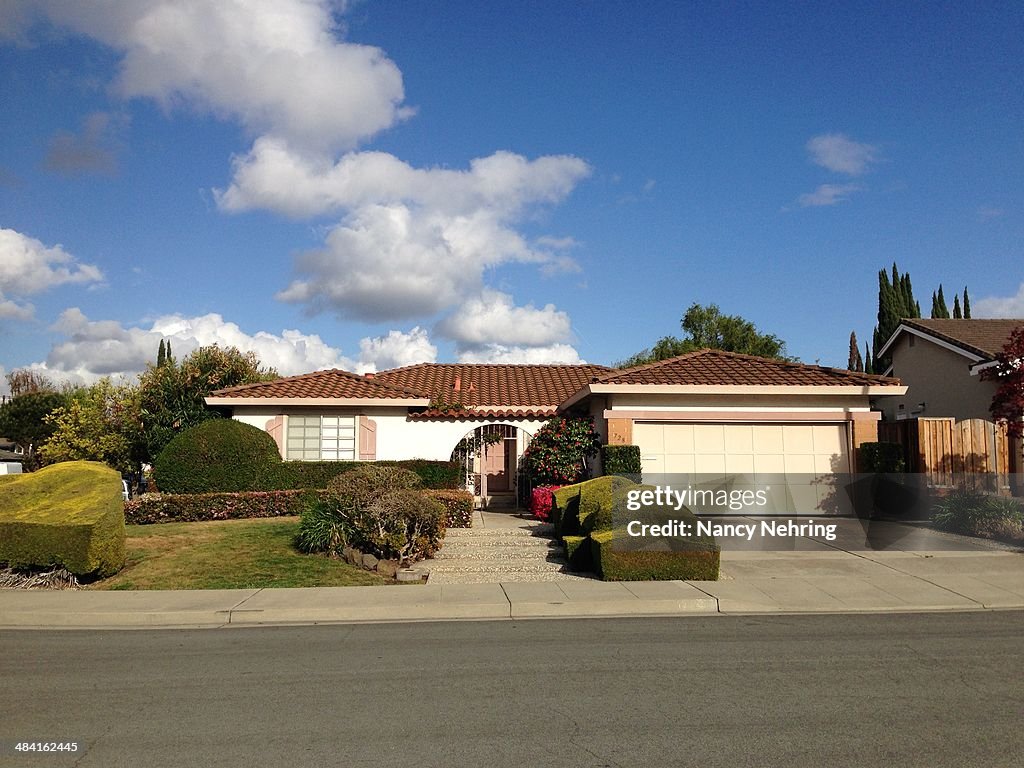 American Suburban Houses