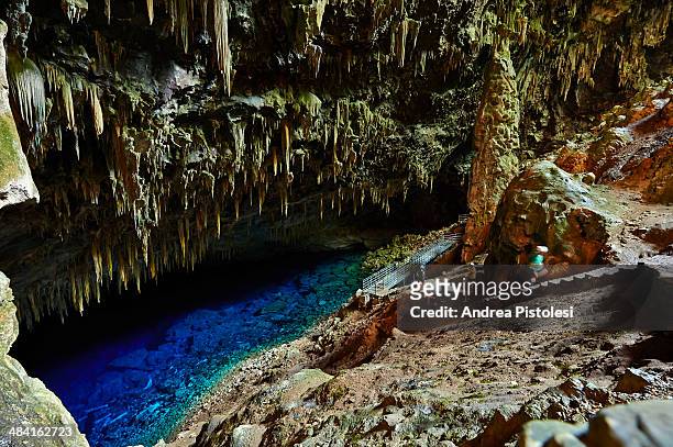 blue lake grotto, bonito, brazil - 地質學 個照片及圖片檔