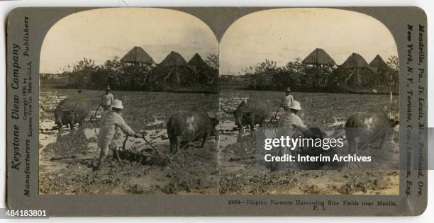 Stereoscopic view showing Filipino farmers harrowing rice fields using water buffalo or carabao, prior to planting, near Manila, 1906. Huts are...