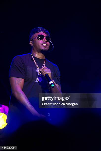 Nas performs on stage at Chene Park Amphitheater on August 15, 2015 in Detroit, Michigan.