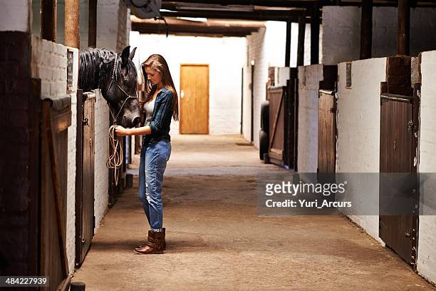 tome un paseo a través de los establos - 1 woman 1 horse fotografías e imágenes de stock