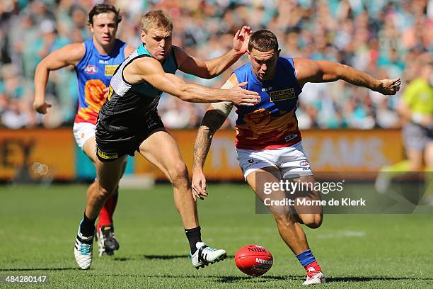 Kane Cornes of the Power competes for the ball with Brent Moloney of the Lions during the round 4 AFL game between Port Adelaide and the Brisbane...