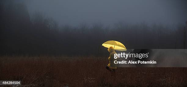 little girl crossing the field in fog - foggy forest stock pictures, royalty-free photos & images