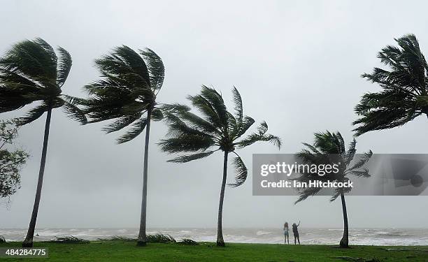 Tourists are seen standing in high winds amongst palm trees on April 12, 2014 in Port Douglas, Australia The cyclone crossed the coast of Cooktown...