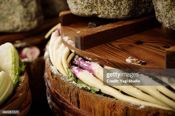 barrel of a tree wearing hinona - pickle barrel stock pictures, royalty-free photos & images