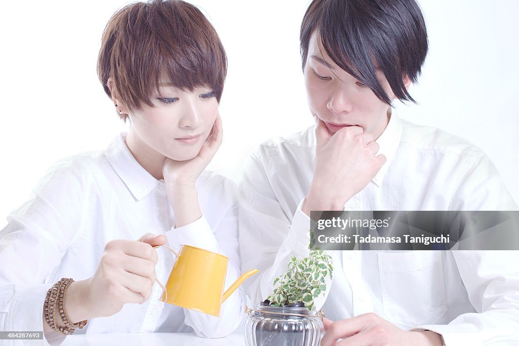 Young couple growing a plant