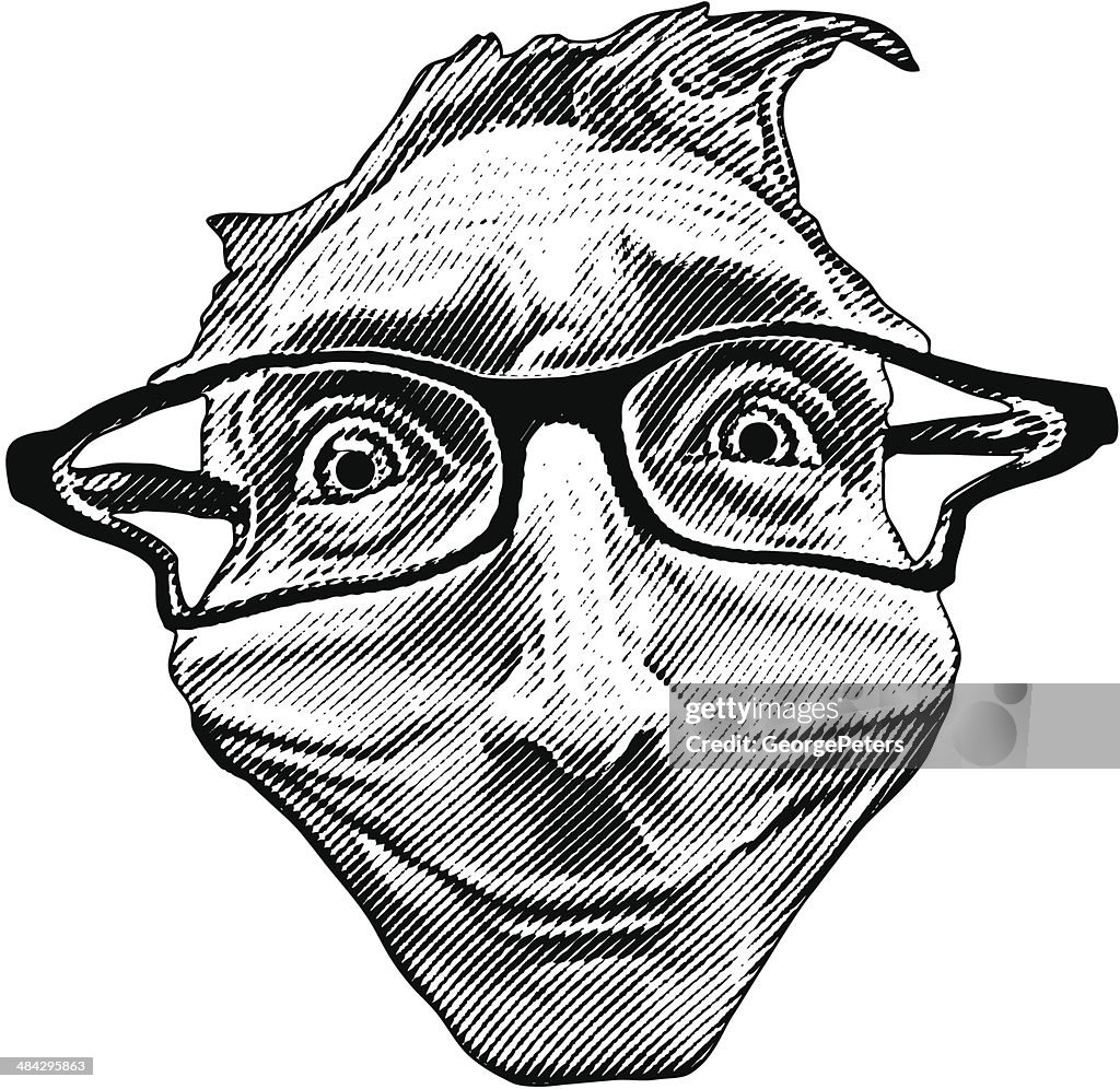 Smirk Humor Funny Face Smirk High-Res Vector Graphic - Getty Images