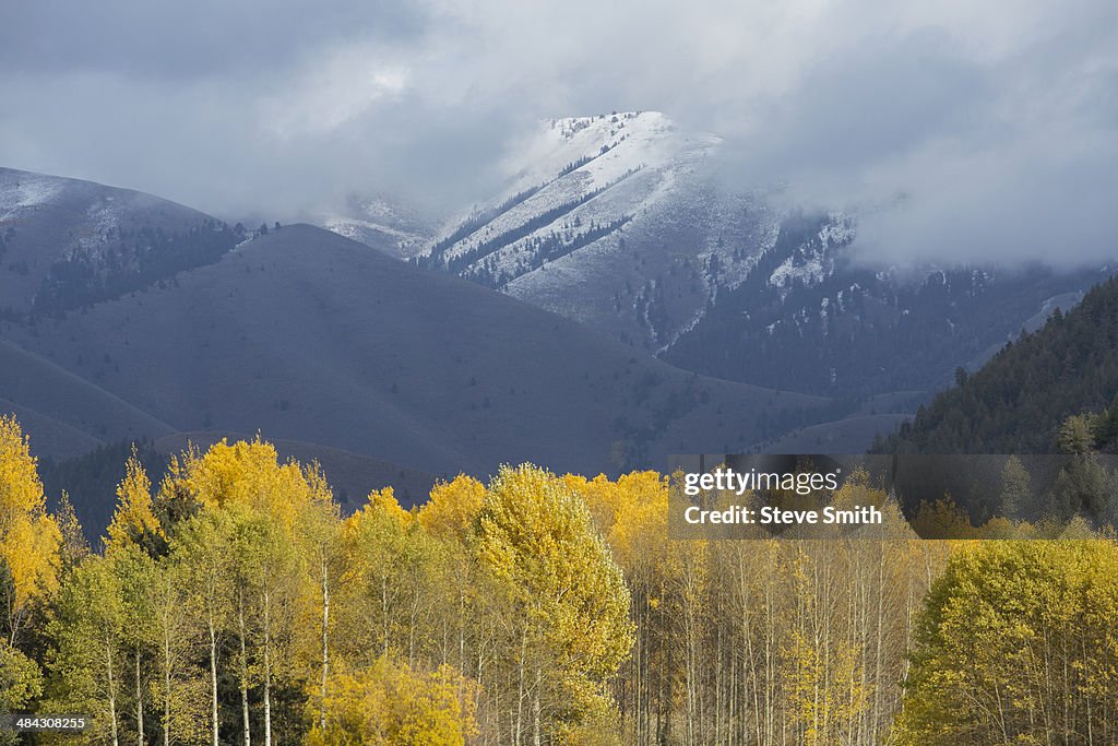 Fall Color And First Snowfall High-Res Stock Photo - Getty Images