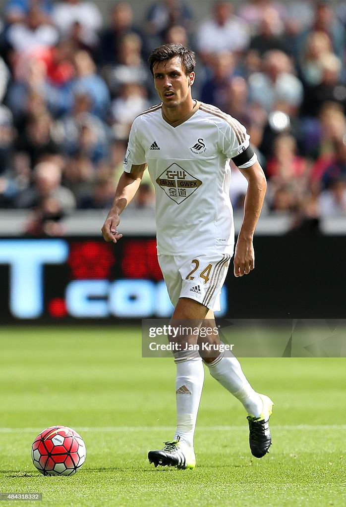 Swansea City v Newcastle United - Premier League