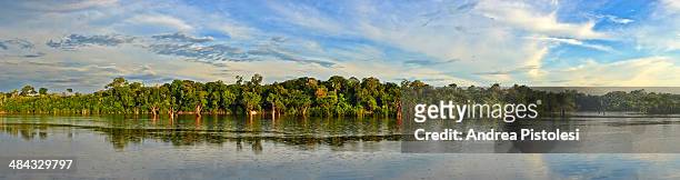 amazon river, amazonas, brazil - brazil rainforest stockfoto's en -beelden