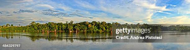 amazon river, amazonas, brazil - river amazon 個照片及圖片檔