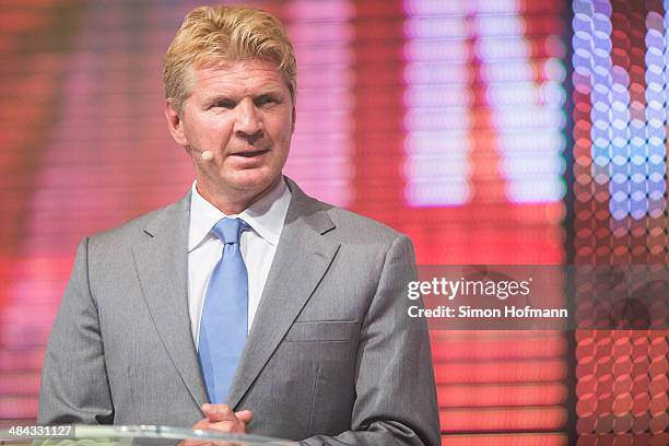 Stefan Effenberg attends the Radio Regenbogen Award 2014 on April 11, 2014 in Rust, Germany.