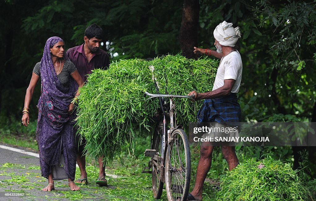 INDIA-AGRICULTURE