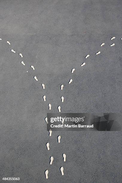 Diverging line of footprints