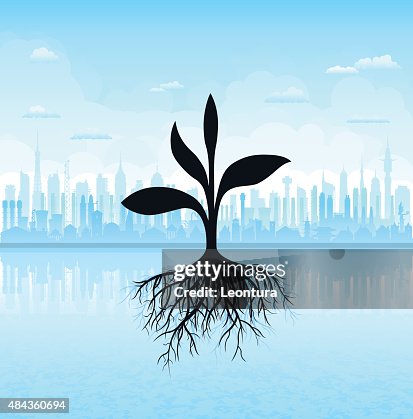 Sapling Sapling