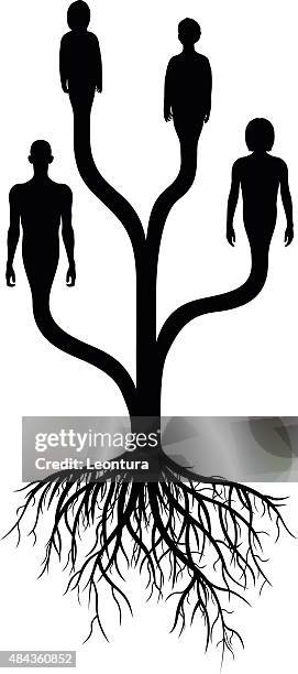 genealogy - genealogy stock illustrations