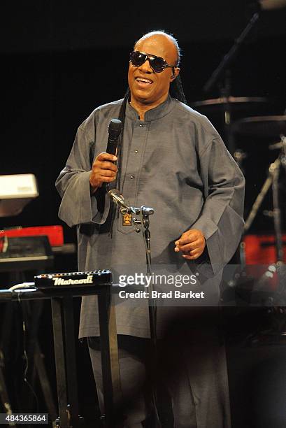 Musican Stevie Wonder performs to announce his "Songs in the Key of Life Performance" tour at Central Park SummerStage on August 17, 2015 in New York...