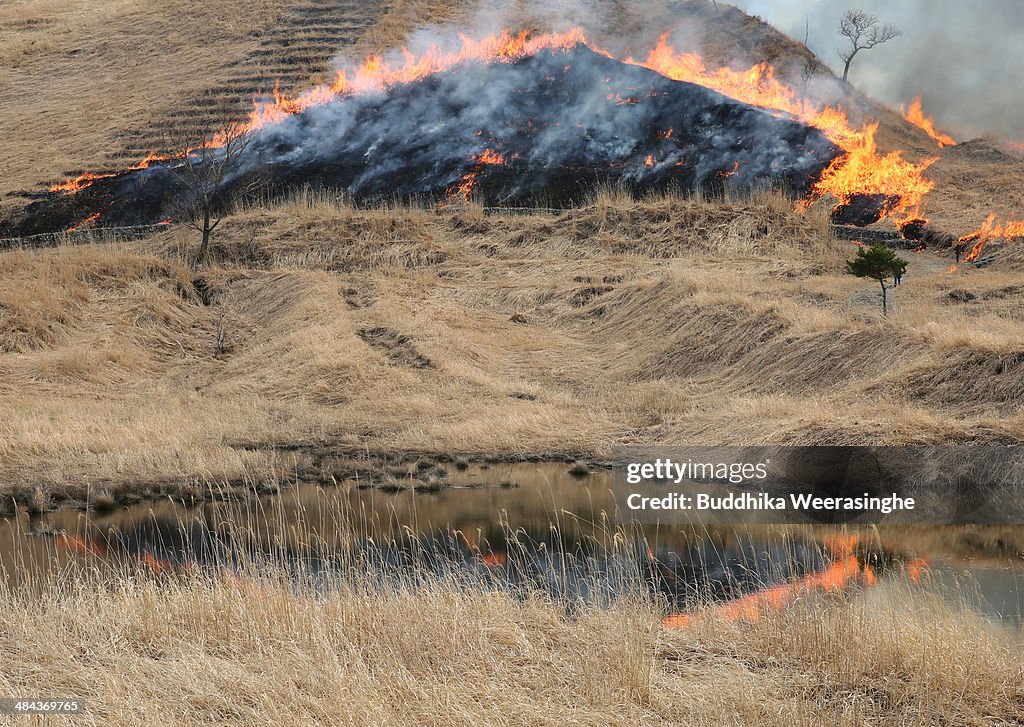 Field Burning Marking Arrival Of Spring In Tonomine Highlands