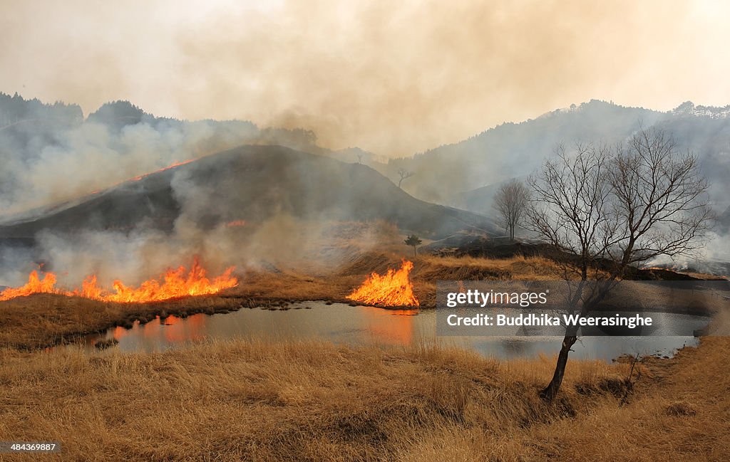Field Burning Marking Arrival Of Spring In Tonomine Highlands