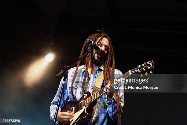 Julian Marley performs at the 2015 African World Festival at Charles H. Wright Museum of African American History on August 16, 2015 in Detroit,...