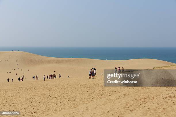 tottori sand dunes in japan - tottori prefecture stock pictures, royalty-free photos & images