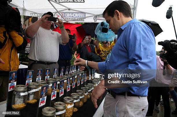 Republican presidential candidate and U.S. Sen. Marco Rubio casts his vote in the 'Cast Your Kernel' election as he tours the Iowa State Fair on...