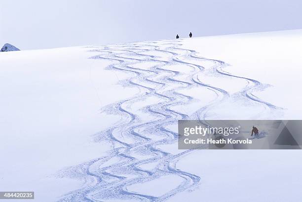 backcountry skier matching tracks downhill. - wintersport stock-fotos und bilder