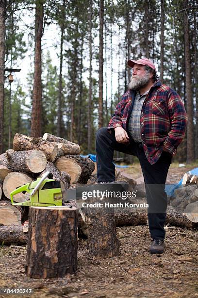 portrait of rural man, chainsaw and wood pile. - elektrisch gereedschap stockfoto's en -beelden