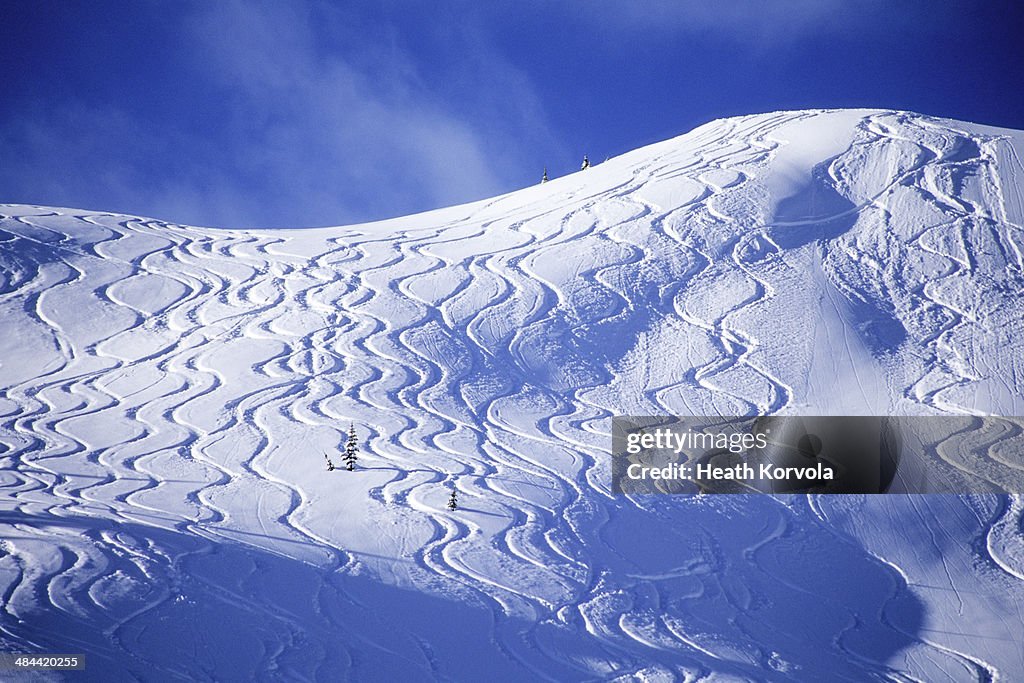 Backcountry ski lines cover a beautiful hill.