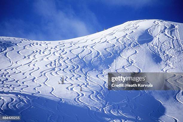 backcountry ski lines cover a beautiful hill. - british columbia stock pictures, royalty-free photos & images
