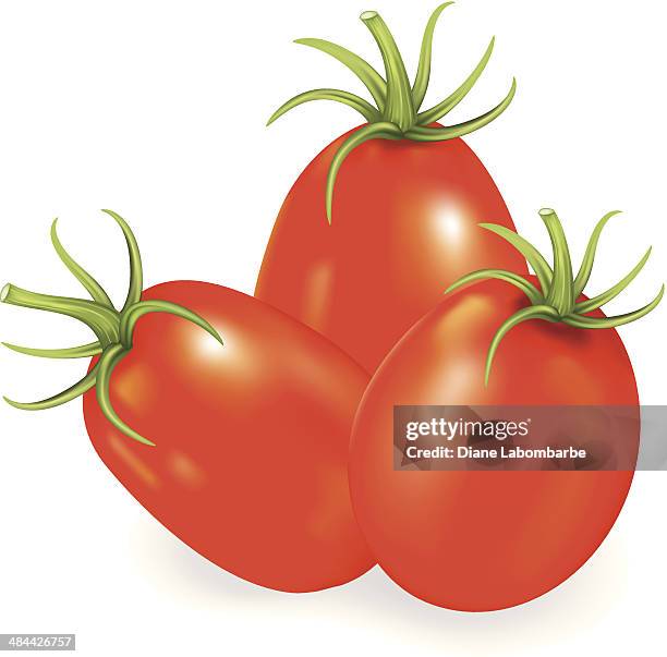 illustrations, cliparts, dessins animés et icônes de tomates rouges roma - tomate ancienne